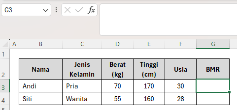 cara hitung BMR di Excel menjadi TDEE