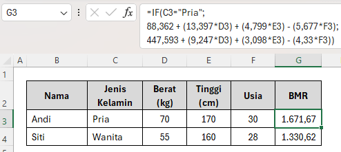 Hasil dari cara hitung BMR di Excel